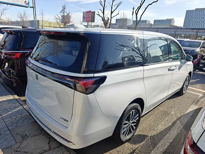 Buick GL8 ES 2025 2025款 陆上公务舱 舒适DG版