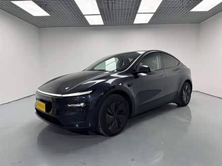Tesla Model Y 2025 2025款 长续航全轮驱动版