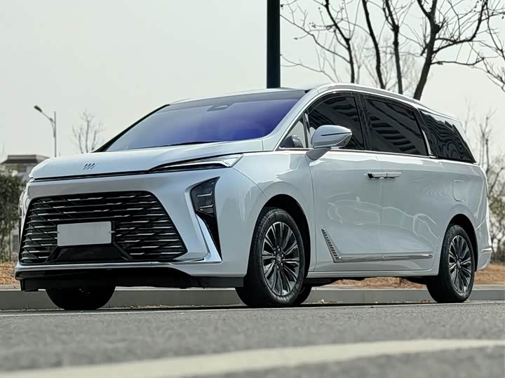 Buick GL8 ES 2025 2025款 陆尊 尊享版