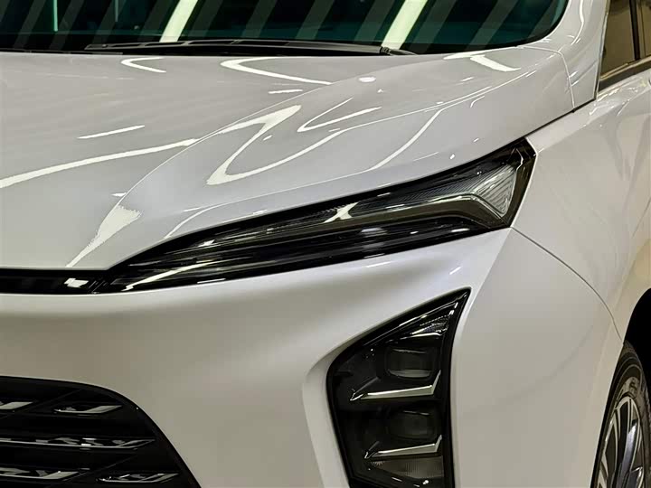 Buick GL8 ES 2025 2025款 陆尊 尊享版