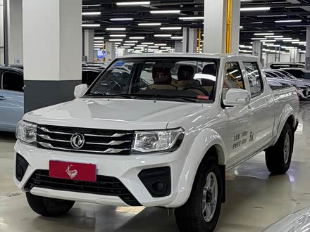 Dongfeng Rich 2021 2021款 2.4T柴油四驱梦想版长货箱YCY24165-61