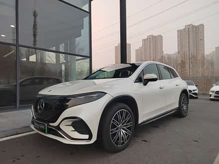 Mercedes-Benz EQS SUV 2023 2023款 450 4MATIC 豪华版