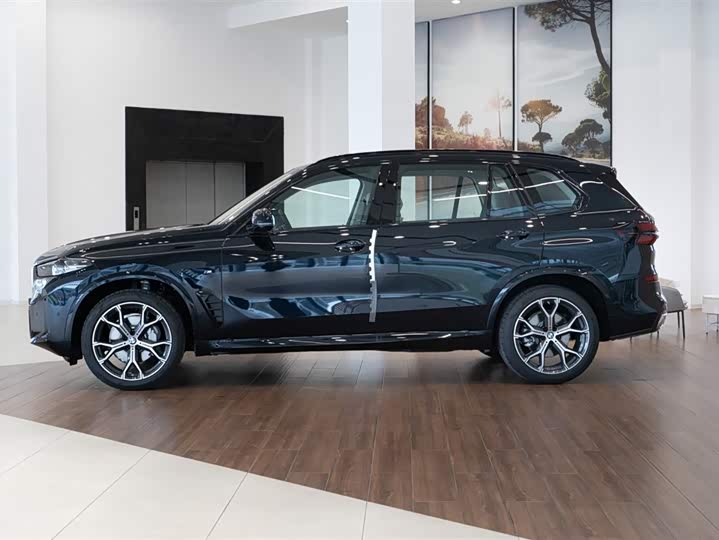BMW X5 2025 2025款 xDrive 30Li 尊享型M运动曜夜套装