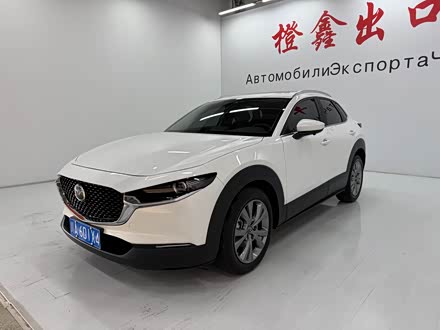 Mazda CX-30 2022 2022款 2.0L 自动耀悦型