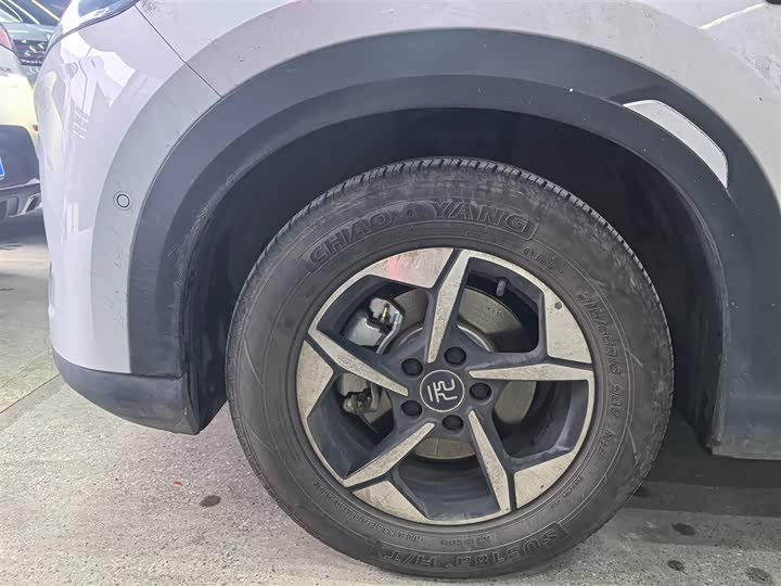 BYD Yuan Up 2025 2025款 智驾版 401KM 领先型