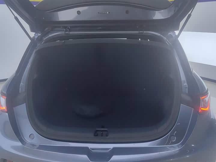 BYD Dolphin 2025 2025款 420km 活力版