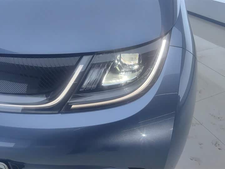 BYD Dolphin 2025 2025款 420km 活力版