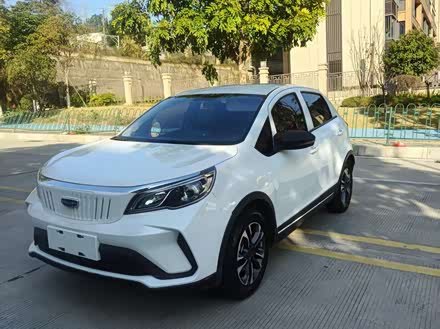 Geely Geometry EX3 2021 2021款 功夫牛牛
