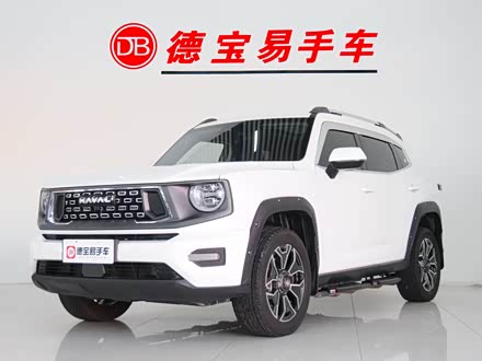 2024 Haval H-Dog Hybrid