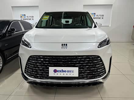 Buick GL8 ES 2025 2025款 陆上公务舱 舒适DG版