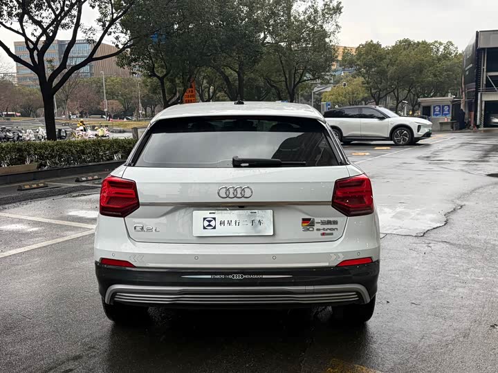 Audi Q2L e-tron 2019 2019款 Q2L e-tron 纯电智享型