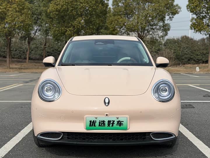 Ora Good Cat (03) 2024 2024款 401km 尊荣型 126kW