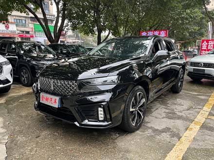 Wey VV7 GT 2020 2020款 2.0T 超豪型