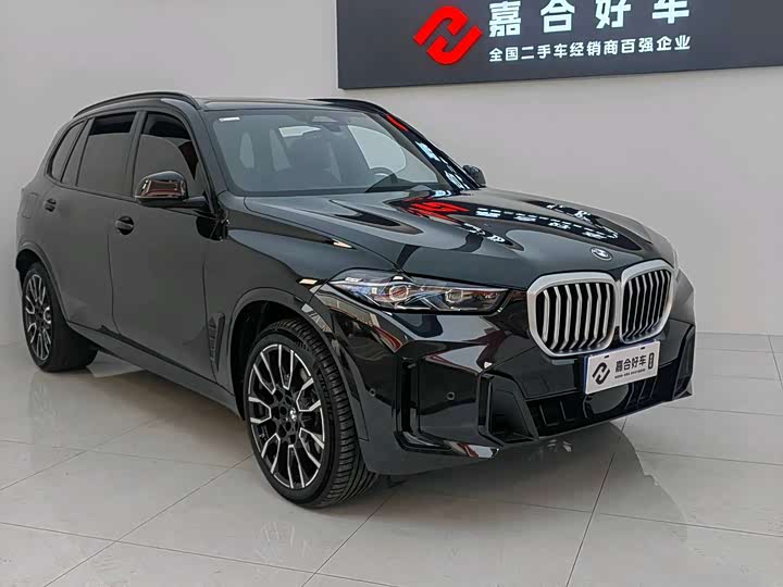 BMW X5 2025 2025款 xDrive 40Li M运动曜夜套装