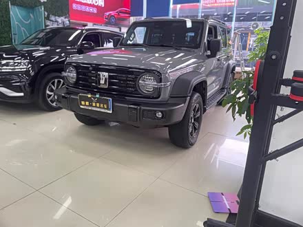 Tank 300 2025 2025款 2.4T 柴油版