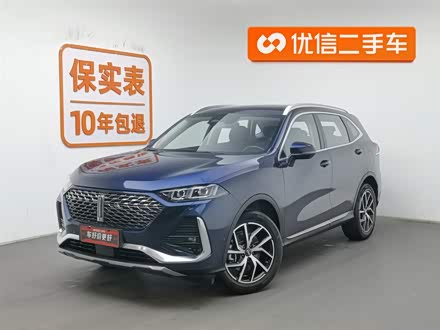 Wey Latte DHT Hybrid 2022 2022款 1.5T 四驱超大杯