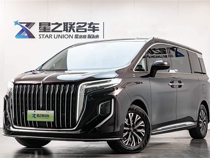 Hongqi HQ9 2024 2024款 2.0T 豪华版