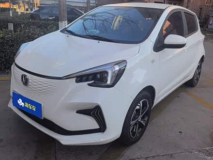 Changan BenBen E-Star 2022 2022款 清心版 多彩款 磷酸铁锂