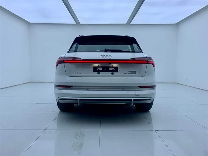 Audi e-tron 2021 2021款 50 quattro 豪华型