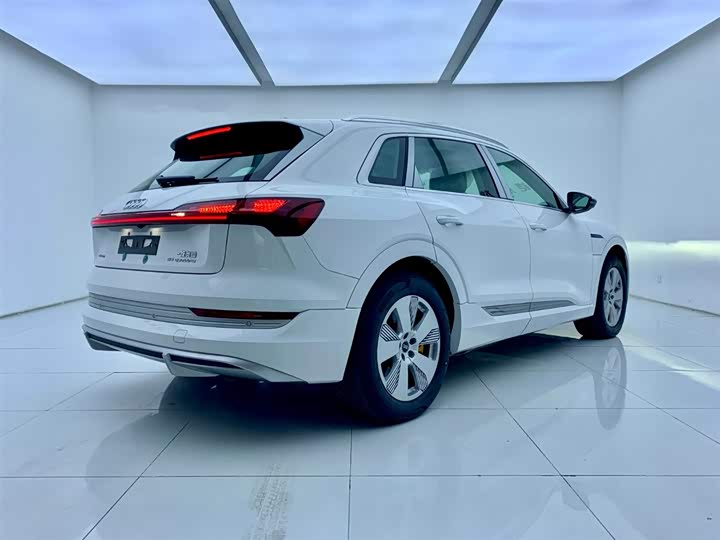 Audi e-tron 2021 2021款 50 quattro 豪华型