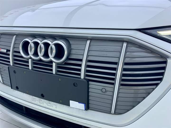 Audi e-tron 2021 2021款 50 quattro 豪华型