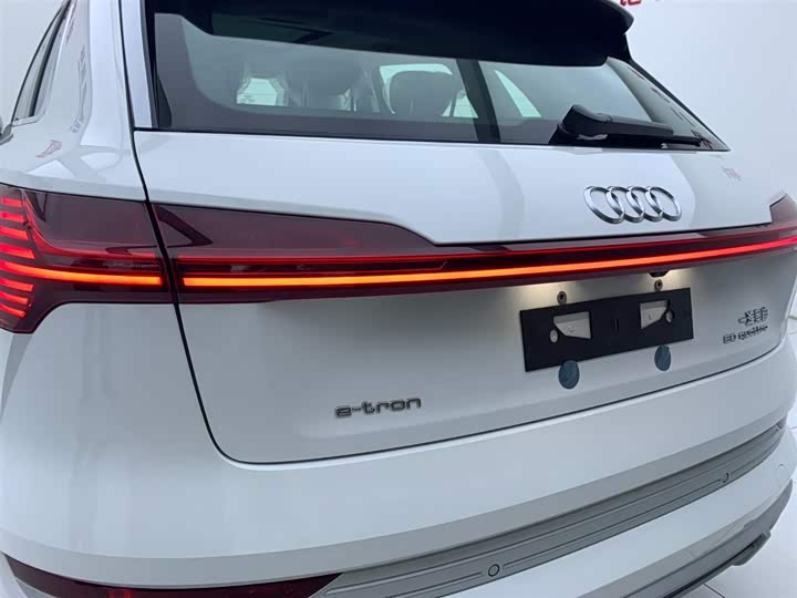 Audi e-tron 2021 2021款 50 quattro 豪华型
