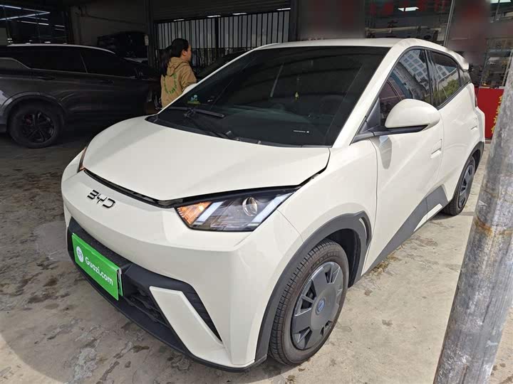 BYD Seagull 2025 2025款 305km 活力版