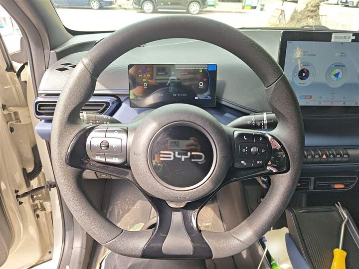 BYD Seagull 2025 2025款 305km 活力版