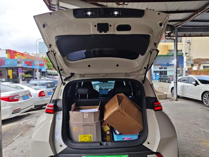 BYD Seagull 2025 2025款 305km 活力版