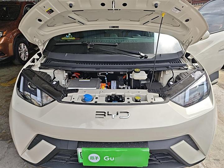 BYD Seagull 2025 2025款 305km 活力版