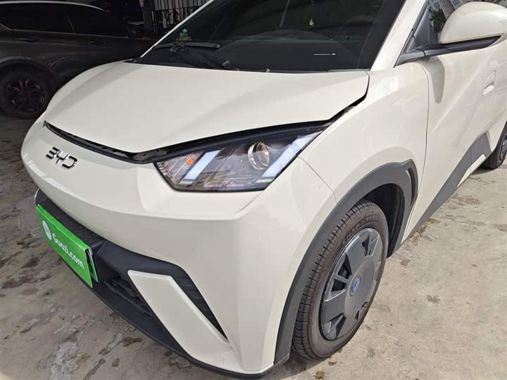 BYD Seagull 2025 2025款 305km 活力版