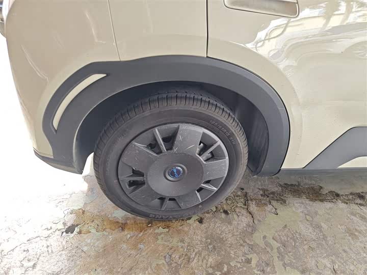 BYD Seagull 2025 2025款 305km 活力版