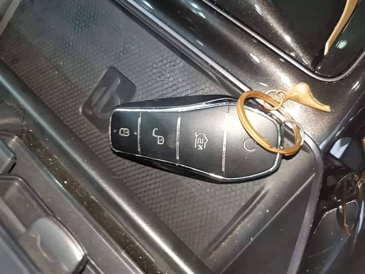 BYD Frigate 07 2023 2023款 DM-i 100KM 旗舰型