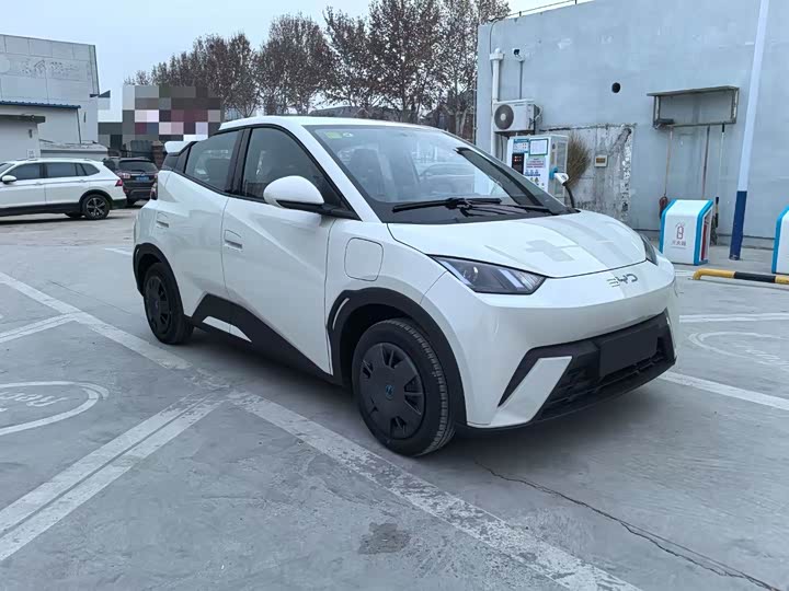 BYD Seagull 2025 2025款 305km 活力版