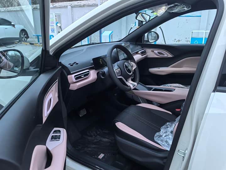 BYD Seagull 2025 2025款 305km 活力版