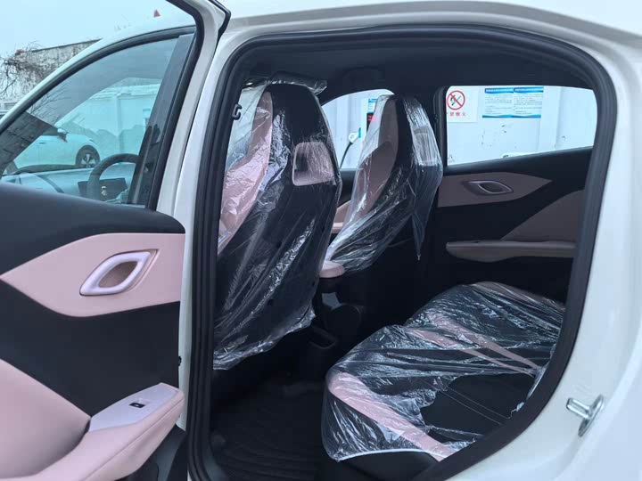 BYD Seagull 2025 2025款 305km 活力版