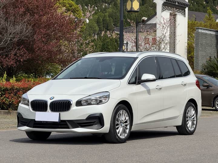 BMW 2 Series Gran Tourer 2019 2019款 220i 领先型
