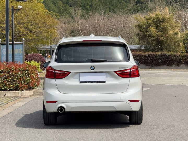 BMW 2 Series Gran Tourer 2019 2019款 220i 领先型
