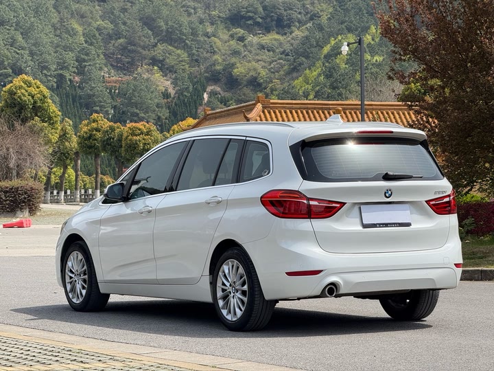 BMW 2 Series Gran Tourer 2019 2019款 220i 领先型
