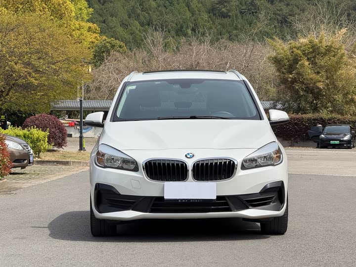 BMW 2 Series Gran Tourer 2019 2019款 220i 领先型