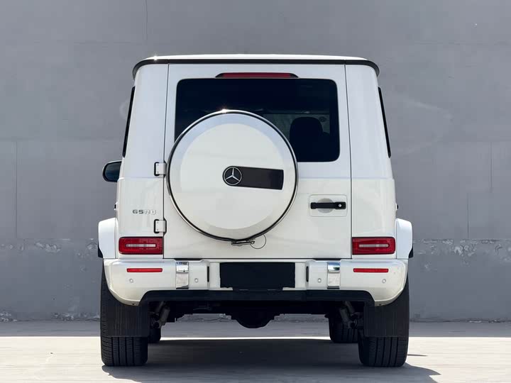 Mercedes-Benz G-Class 2024 2024款 G 500