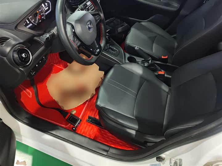 Changan Alsvin 2019 2019款 1.5L DCT舒适型 国VI
