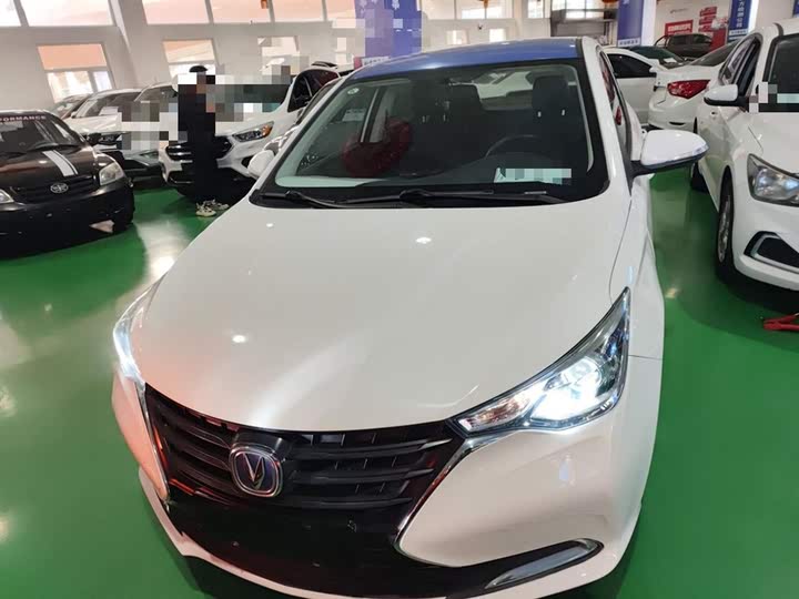 Changan Alsvin 2019 2019款 1.5L DCT舒适型 国VI