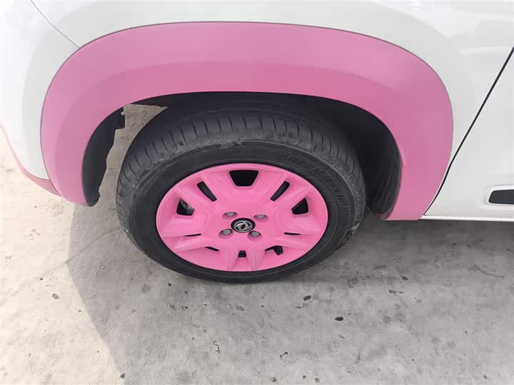 Dongfeng Nammi Nano EX1 Pro 2022 2022款 改款 PRO 悦享型