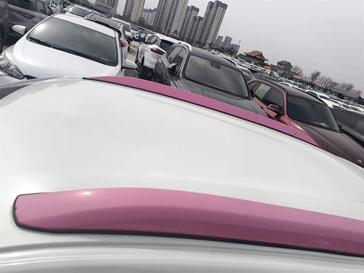 Dongfeng Nammi Nano EX1 Pro 2022 2022款 改款 PRO 悦享型