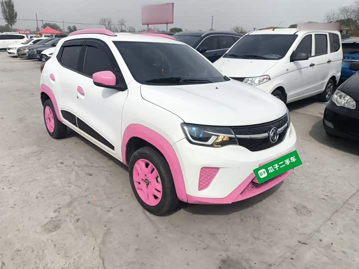 Dongfeng Nammi Nano EX1 Pro 2022 2022款 改款 PRO 悦享型