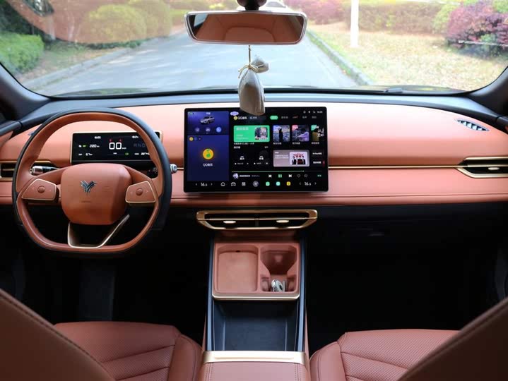 Hozon X 2024 2024款 500 先行版