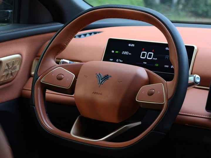 Hozon X 2024 2024款 500 先行版