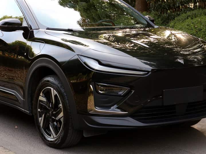 Hozon X 2024 2024款 500 先行版