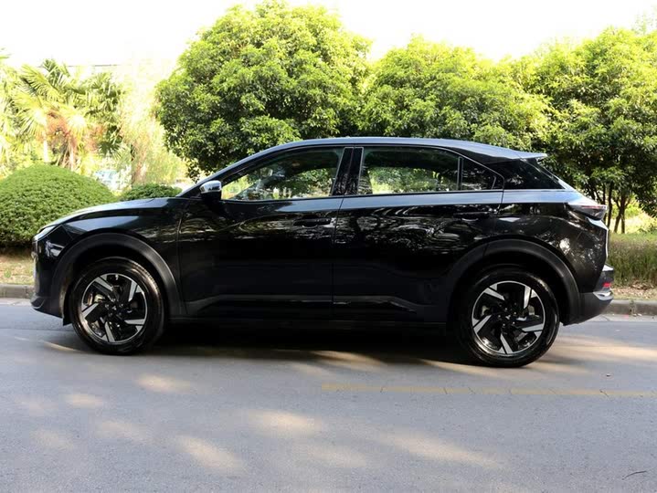 Hozon X 2024 2024款 500 先行版